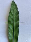 LEA0130 Faux Brid Nest Single Leaf 58cm | ARTISTIC GREENERY