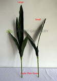 LEA0131 Mother-in-laws Tongue / Snake Plant / Sansevieria 2 Sizes Plain Green / Variegated