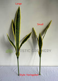 LEA0131 Mother-in-laws Tongue / Snake Plant / Sansevieria 2 Sizes Plain Green / Variegated