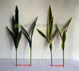 LEA0131 Mother-in-laws Tongue / Snake Plant / Sansevieria 2 Sizes Plain Green / Variegated
