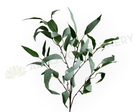 LEA0134 Eucalyptus Foliage 99cm Grey Green