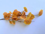 LEA0142-S93 Artificial Autumn Fall Eucalyptus Foliage 81cm 4 Styles | ARTISTIC GREENERY