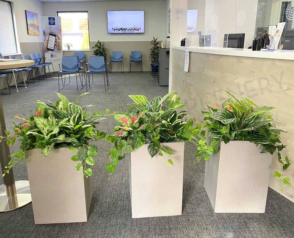 Perth Radiological Clinic (Innaloo) Artificial Plants for Planters