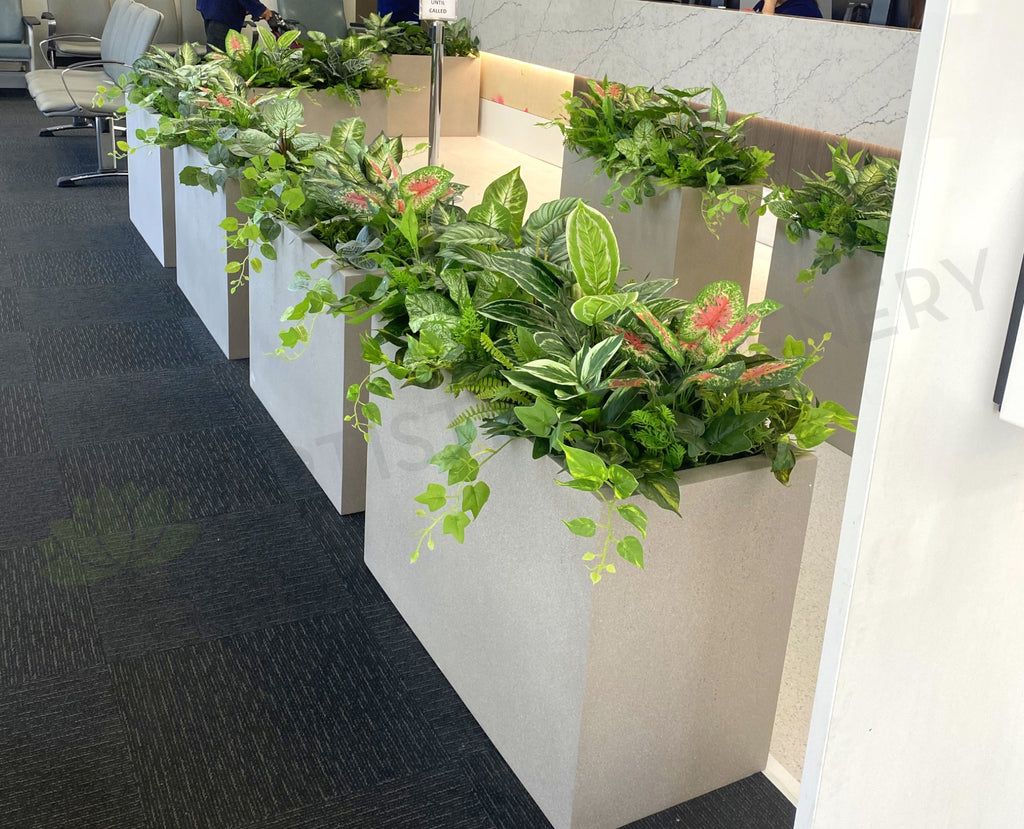 Perth Radiological Clinic (Midland) Artificial Plants & Planter Boxes