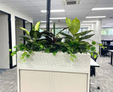 Perth Radiological Clinic (Subiaco) - Artificial Plants for Tambour Units| ARTISTIC GREENERY PERTH