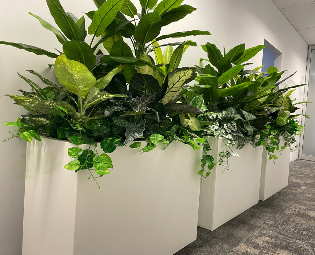 Perth Radiological Clinic (Joondalup & Perth) Artificial Plants for Planter Boxes ARTISTIC