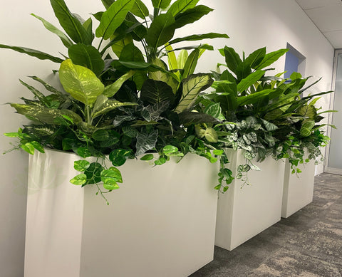 Perth Radiological Clinic (Joondalup & Perth) - Artificial Plants for Planter Boxes