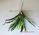 Green with White - SP0131N Artificial Spider Plant 47cm 3 Styles (Chlorophytum Comosum / Ribbon Plant) | ARTISTIC GREENERY