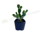 SP0280 Pear Cactus 19cm Green