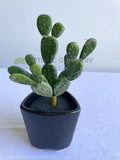 SP0280 Pear Cactus 19cm Green