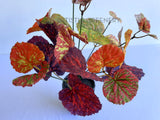 SP0432 Faux Greenery Painted-leaf Begonia Bunch 32cm Orange | ARTISTIC GREENERY