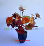 SP0432 Faux Greenery Painted-leaf Begonia Bunch 32cm Orange | ARTISTIC GREENERY