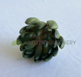 SP0445 Faux Green Sedum Succulent 11cm Green | ARTISTIC GREENERY