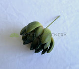 SP0445 Faux Green Sedum Succulent 11cm Green | ARTISTIC GREENERY