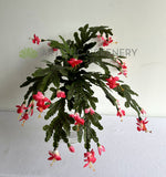 SP0449 Artificial Schlumbergera / Christmas Cactus 46cm | ARTISTIC GREENERY 