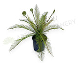 SP0467 Artificial Silver Fern Bunch 56cm Green | ARTISTIC GREENERY