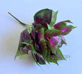 SP0477 Coleus Bunch 34cm Purple