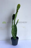 T0179 Artificial Barbary Fig / Pear Cactus / Opuntia Ficus-indica 75cm | ARTISTIC GREENERY