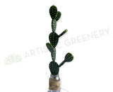 T0183 Artificial Pear Cactus 58cm | ARTISTIC GREENERY