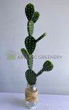 T0183 Artificial Pear Cactus 58cm | ARTISTIC GREENERY