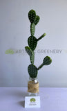 T0183 Artificial Pear Cactus 58cm | ARTISTIC GREENERY