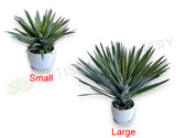 T0187 Artificial Agave / Angustifolia / Yucca 2 Sizes | ARTISTIC GREENERY