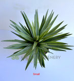 Small - T0187 Artificial Agave / Angustifolia / Yucca 2 Sizes | ARTISTIC GREENERY