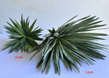 T0187 Artificial Agave / Angustifolia / Yucca 2 Sizes | ARTISTIC GREENERY