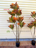 T0189 Faux Red Croton Tree 2 Sizes 120cm/ 140cm | ARTISTIC GREENERY