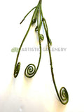 TEMP0010 Fiddlehead Fern / Curly Fern Frond 44cm Green New Zealand native plants New Zealand Fern | ARTISTIC GREENERY