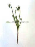 TEMP0010 Fiddlehead Fern / Curly Fern Frond 44cm Green New Zealand native plants New Zealand Fern | ARTISTIC GREENERY