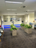 Perth Radiological Clinic (Wexford) - Artificial Plants & Planter Boxes | ARTISTIC GREENERY