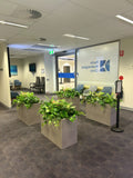 Perth Radiological Clinic (Wexford) - Artificial Plants & Planter Boxes | ARTISTIC GREENERY