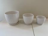 CER1303-4 Glazed Ceramic Pot (Wave Pattern) with Saucer - White - 3 Sizes