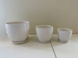 CER1303-4 Glazed Ceramic Pot (Wave Pattern) with Saucer - White - 3 Sizes