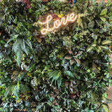 For Hire - Neon Sign 4 Styles - Couple / Marry Me / Love / Happy Birthday  (Code: HI0052) | ARTISTIC GREENERY 