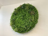 Zoom Recruitment (South Perth) - Circular Greenery Signage / Logo | ARTISTIC GREENERY