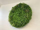 Circular Greenery Feature Wall / Vertical Garden