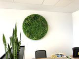 Circular Greenery Feature Wall / Vertical Garden