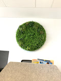 Circle Greenery Feature Wall / Vertical Garden  | ARTISTIC GREENERY