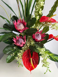 FA1072 - Protea Sugarbushes & Anthuriums Floral Arrangement 80cm Tall