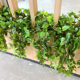 Coles Distribution Centre Canteen Kewdale  - Hanging Greenery for Built-in Planters