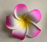 ACC0031 Frangipani / Plumeria Flowers (Floating) Blue / White / Pink / Orange
