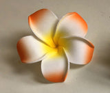 ACC0031 Frangipani / Plumeria Flowers (Floating) Blue / White / Pink / Orange