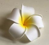 ACC0031 Frangipani / Plumeria Flowers (Floating) Blue / White / Pink / Orange