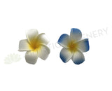 ACC0031 Frangipani / Plumeria Flowers (Floating) Blue / White / Pink / Orange