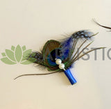 ACC0044P Peacock Feather 20-30cm