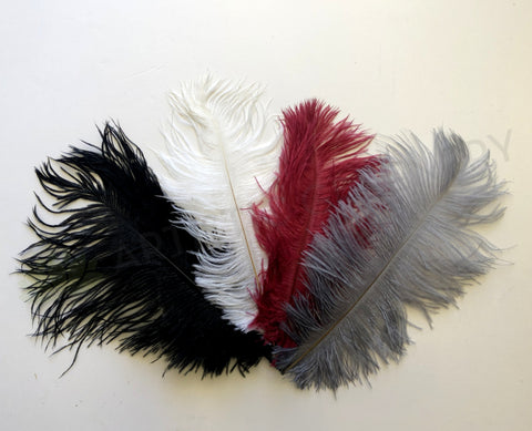 ACC0044 Ostrich Feather 27cm 