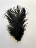 ACC0044 Black Ostrich Feather 27cm 