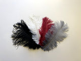 ACC0044 Ostrich Feather 27cm 4 Colours